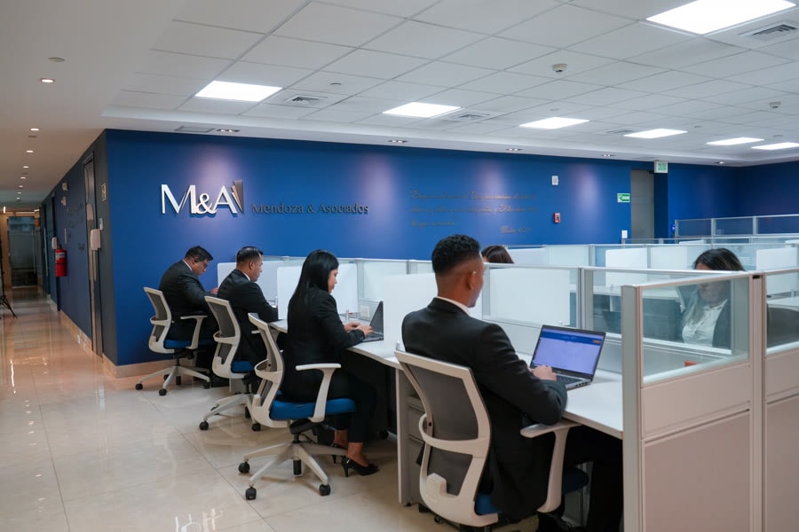 Personal de Mendoza & Asociados trabajando