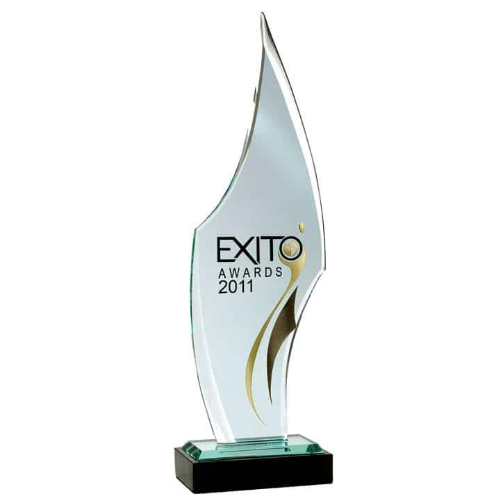 Éxito Awards 2011